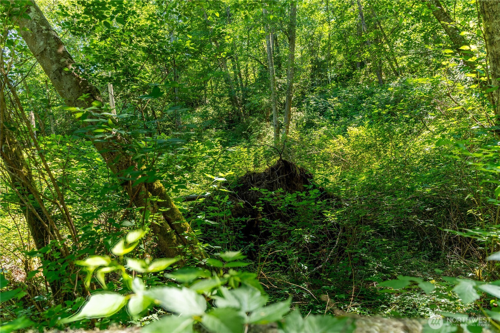 0 Heggeness Road , Clinton, WA 98236