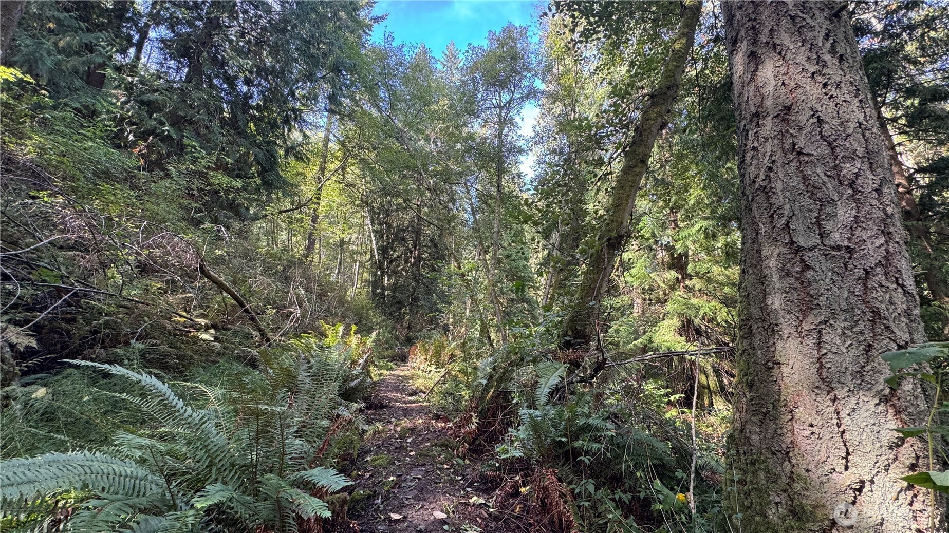 0 Heggeness Road , Clinton, WA 98236