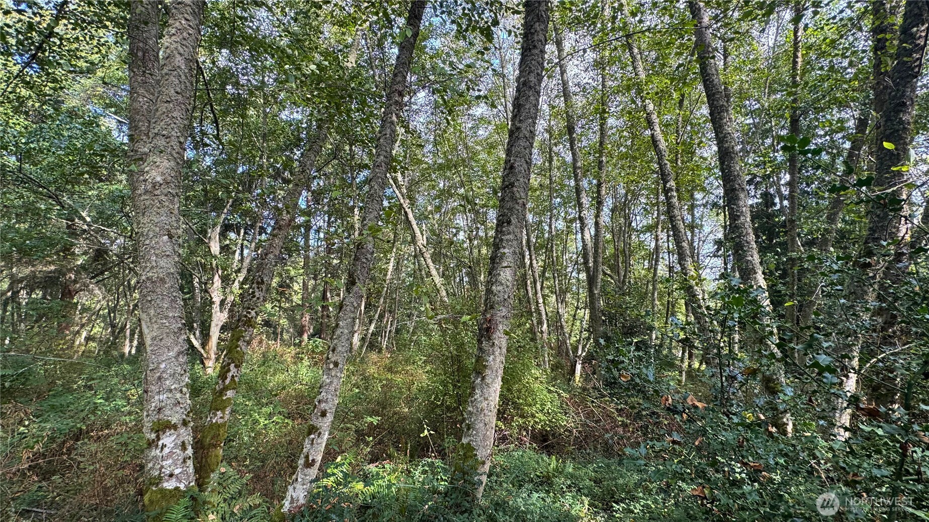 0 Heggeness Road , Clinton, WA 98236