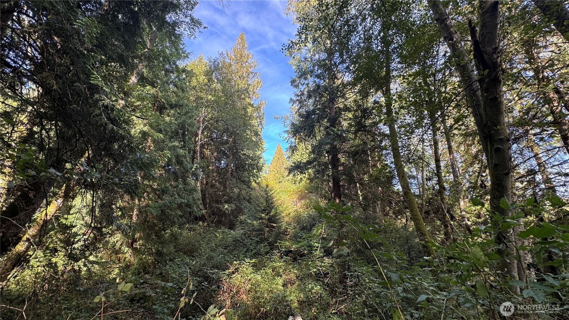 0 Heggeness Road , Clinton, WA 98236