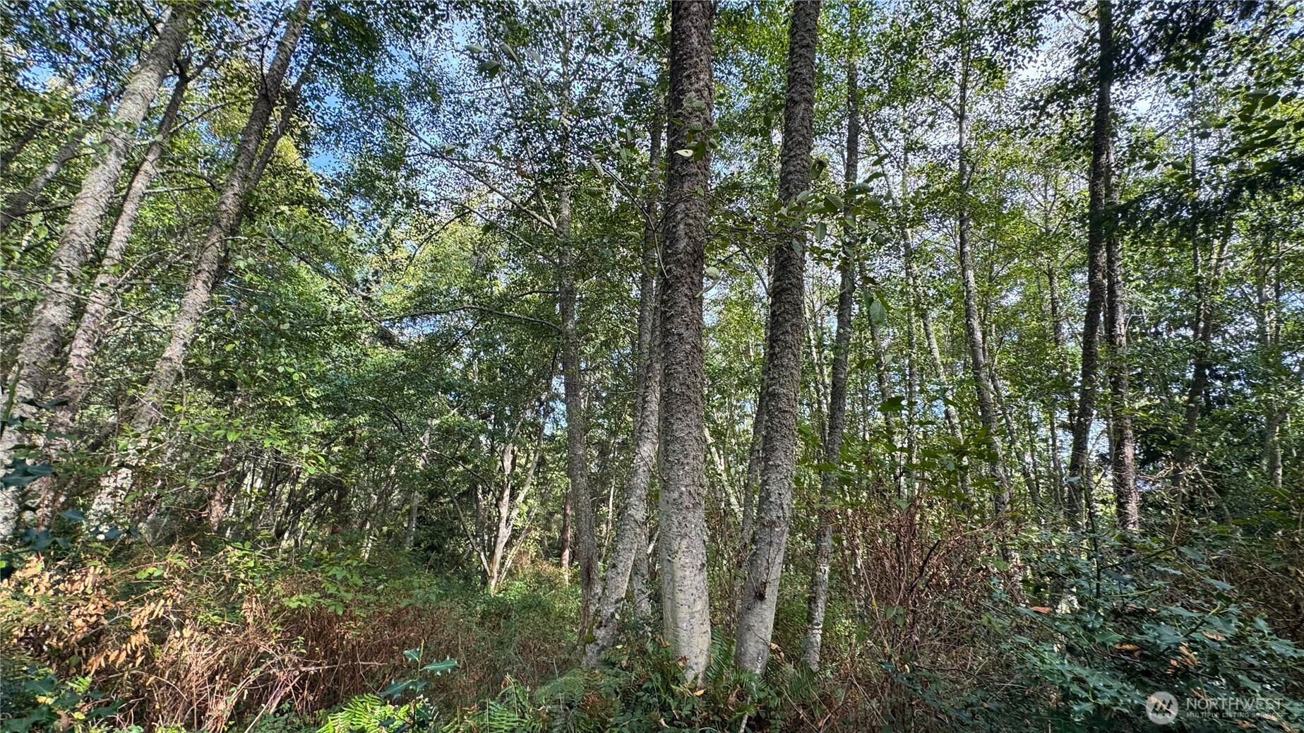 0 Heggeness Road , Clinton, WA 98236