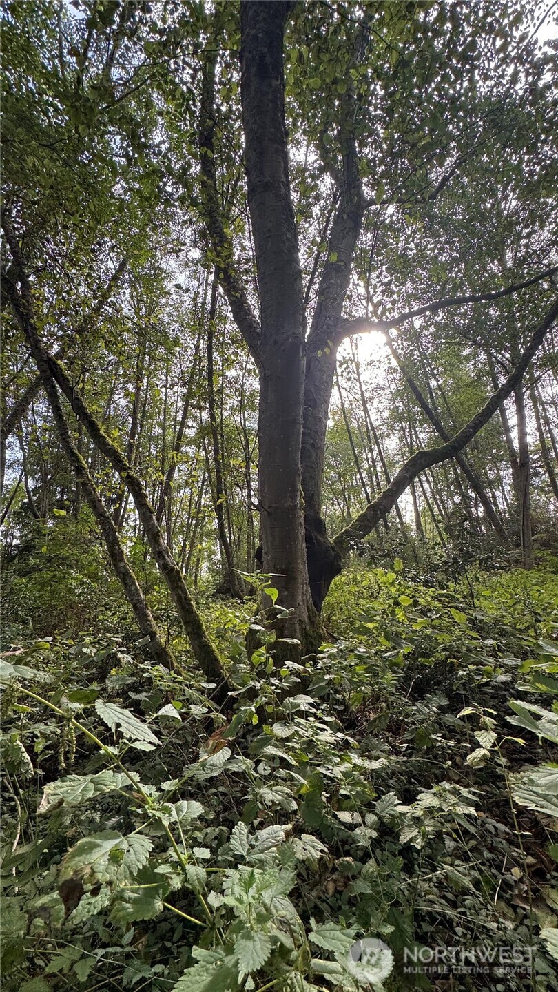 0 Heggeness Road , Clinton, WA 98236