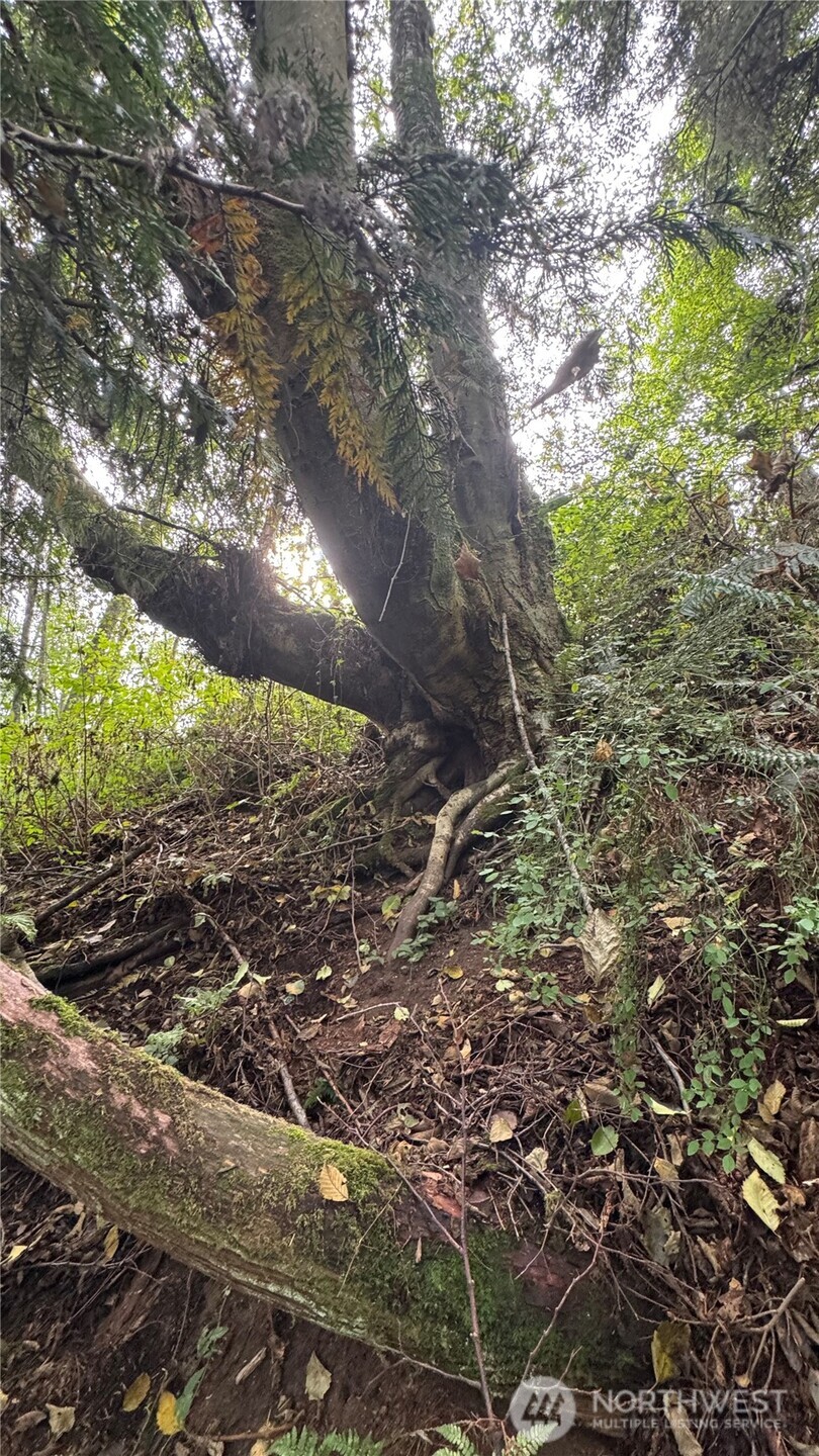 0 Heggeness Road , Clinton, WA 98236