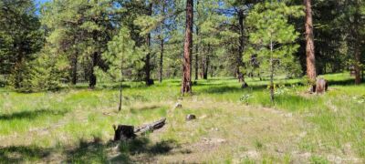 374 Bench Creek Road , Tonasket, WA 98855 - Photo 1