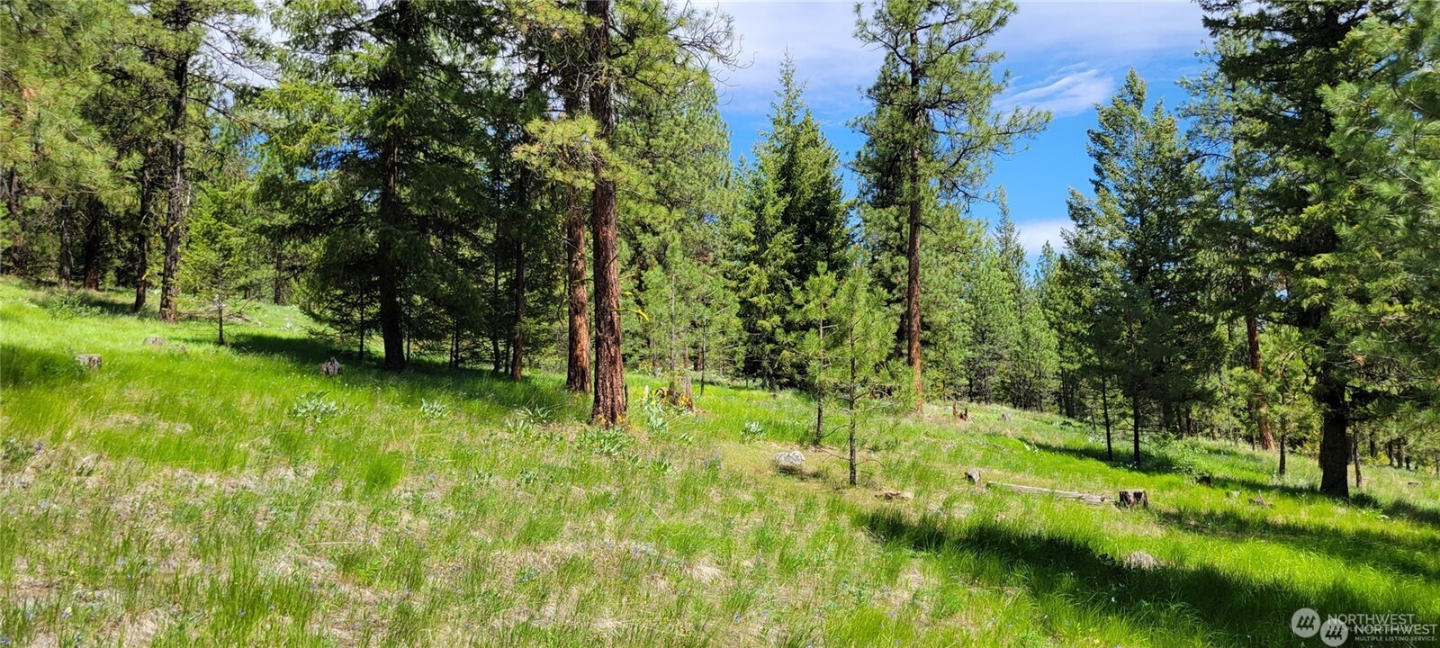 374 Bench Creek Road , Tonasket, WA 98855