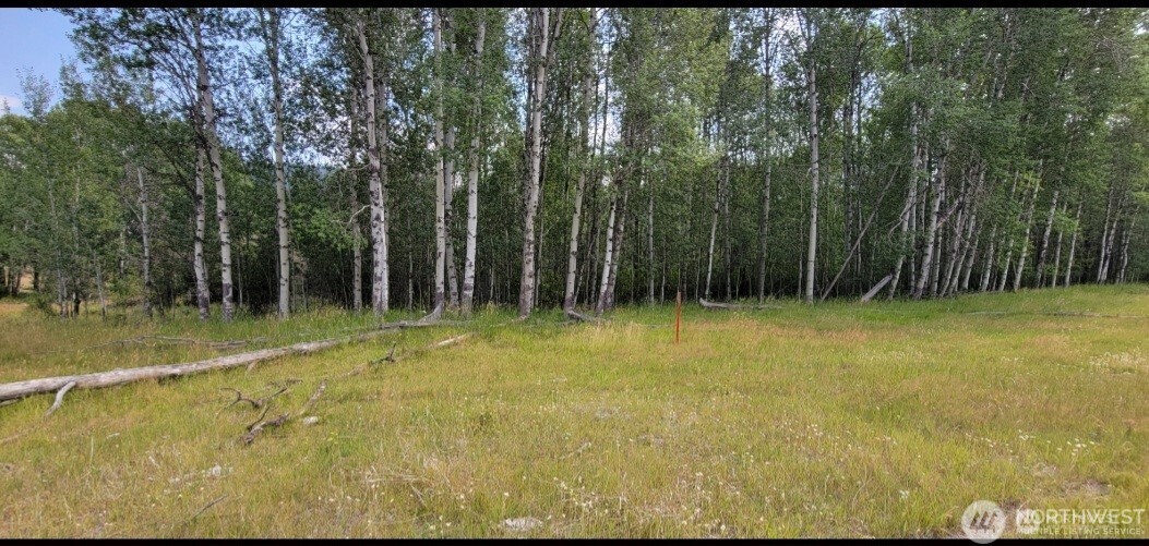 374 Bench Creek Road , Tonasket, WA 98855