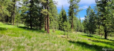 374 Bench Creek Road , Tonasket, WA 98855 - Photo 2