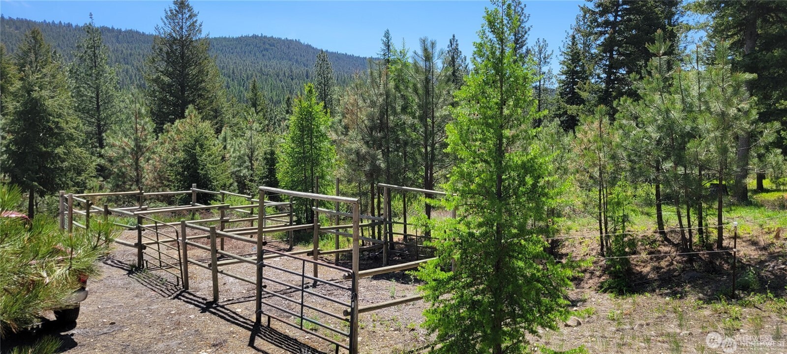 374 Bench Creek Road , Tonasket, WA 98855