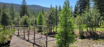 374 Bench Creek Road , Tonasket, WA 98855 - Photo 4