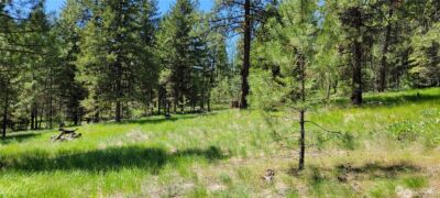 374 Bench Creek Road , Tonasket, WA 98855 - Photo 5