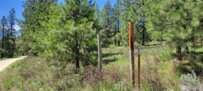 374 Bench Creek Road , Tonasket, WA 98855 - Photo 6