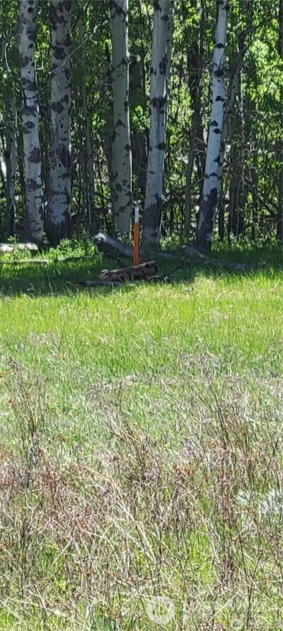 374 Bench Creek Road , Tonasket, WA 98855 - Photo 8