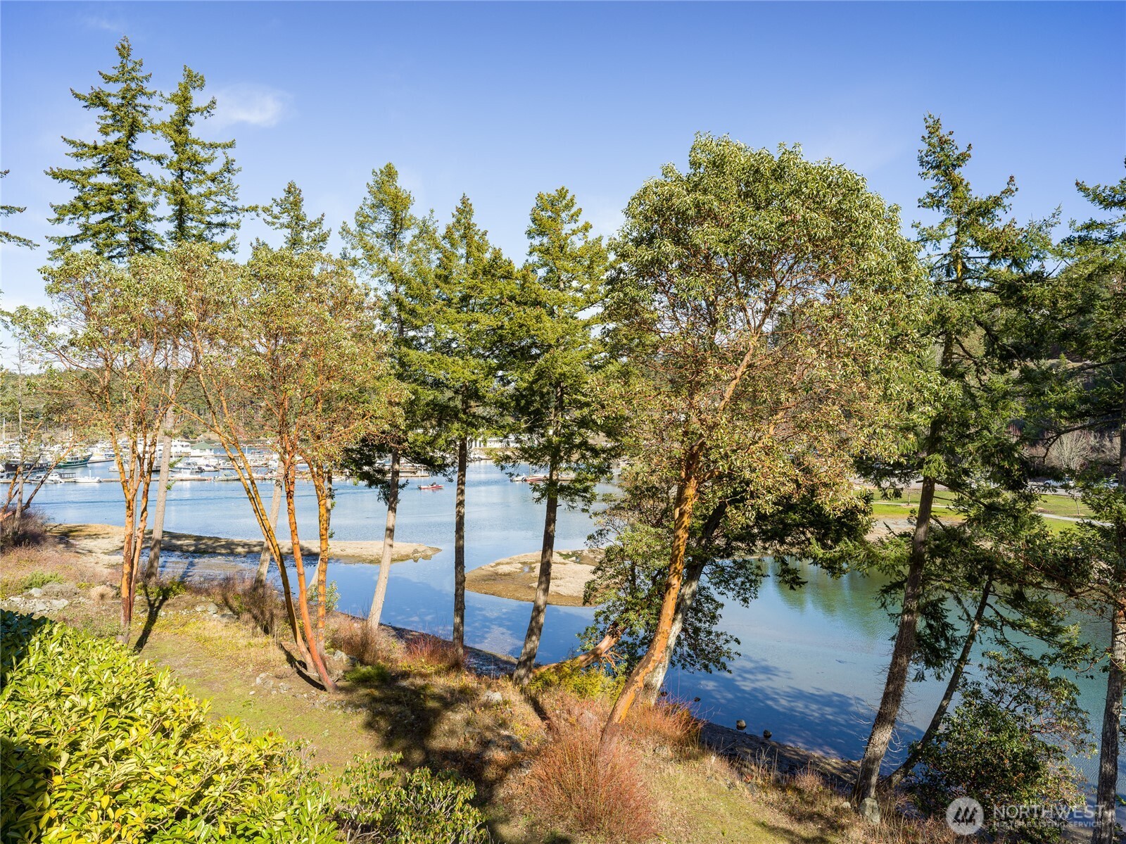 98 Armadale Road #215, Friday Harbor, WA 98250
