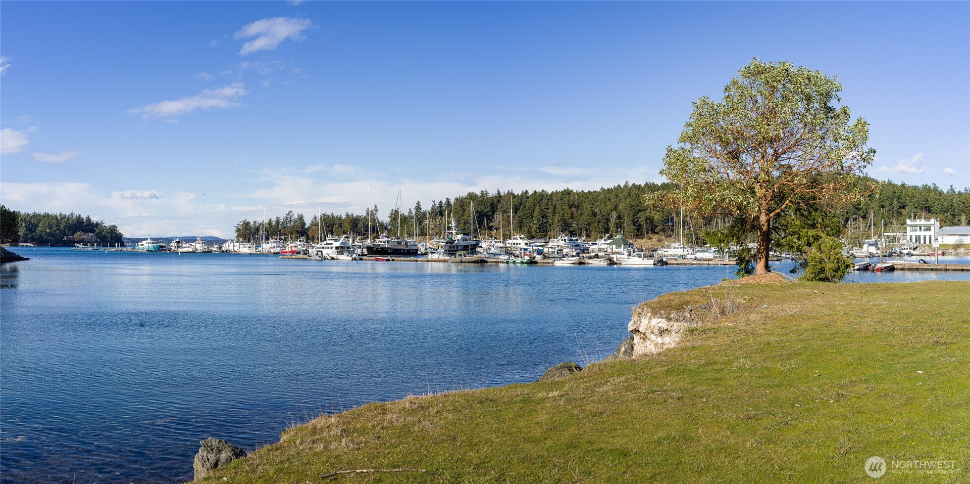 98 Armadale Road #215, Friday Harbor, WA 98250