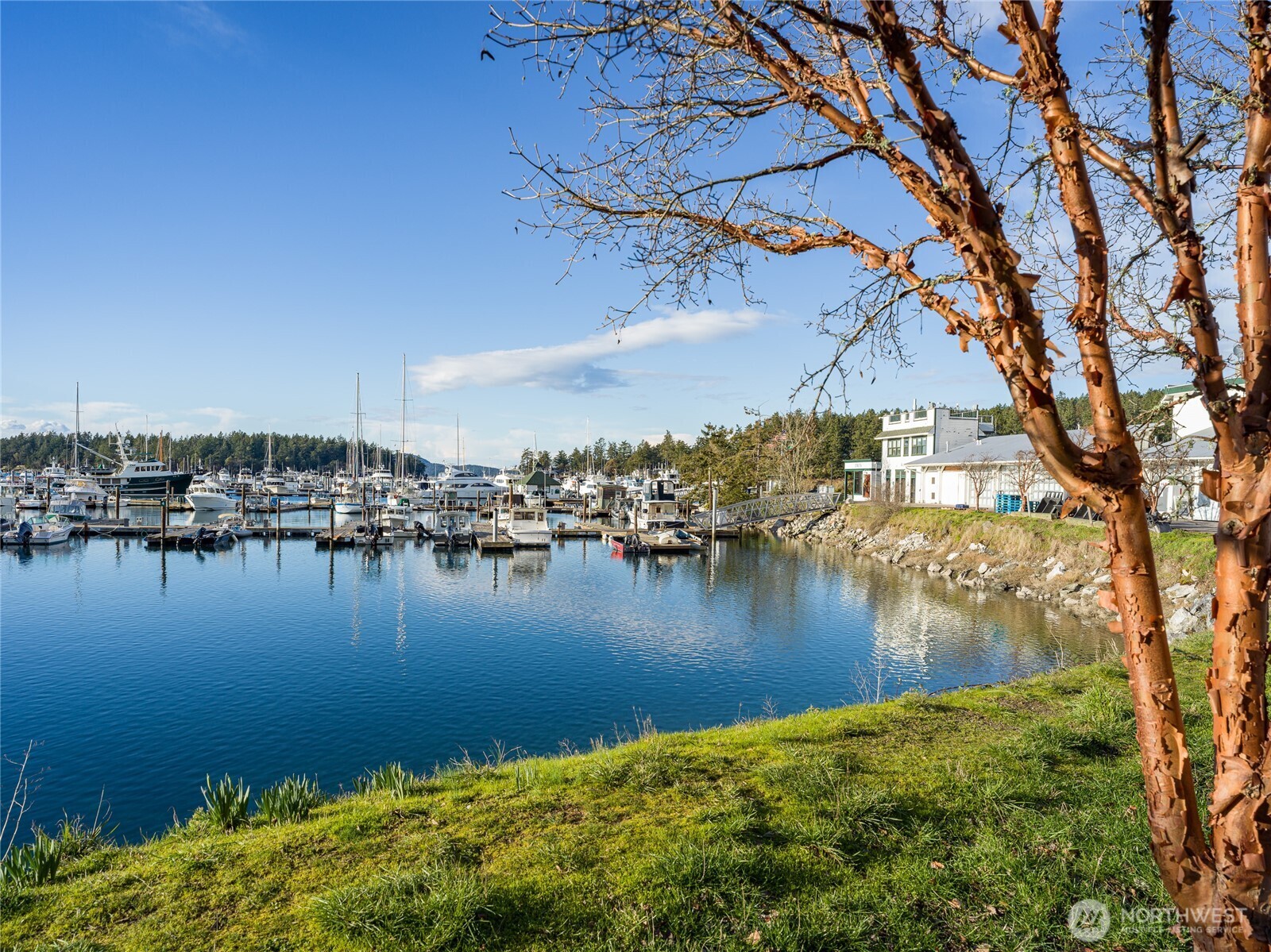 98 Armadale Road #215, Friday Harbor, WA 98250