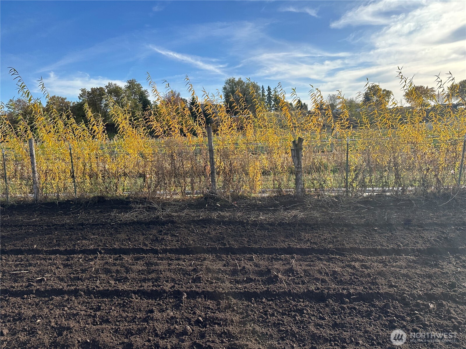 411 SW 12th , College Place, WA 99324