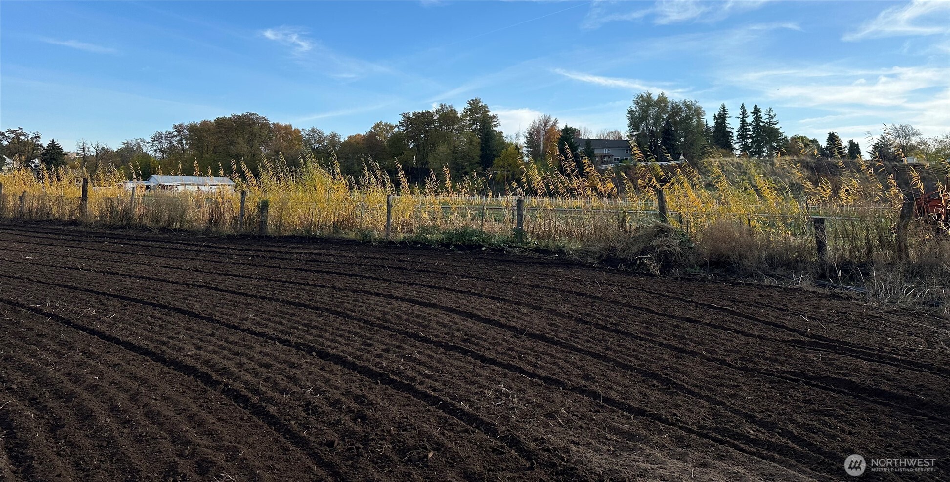 411 SW 12th , College Place, WA 99324