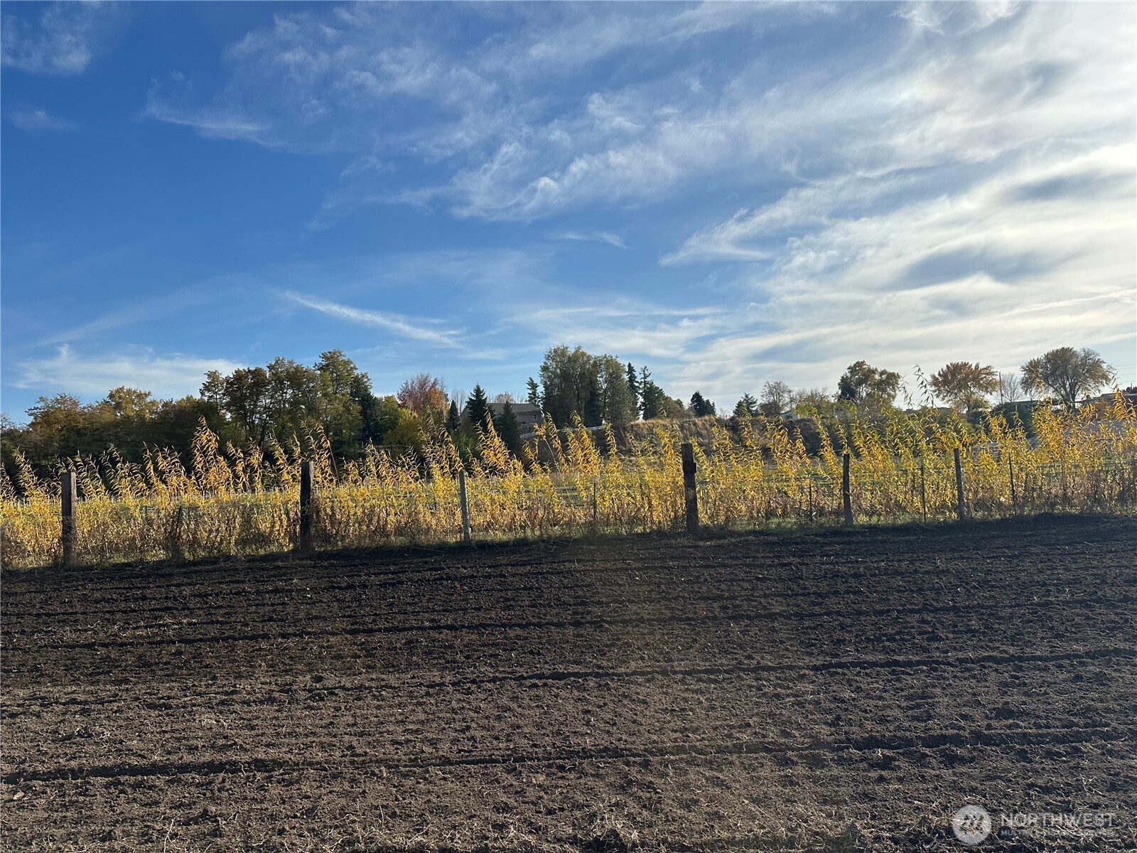 411 SW 12th , College Place, WA 99324