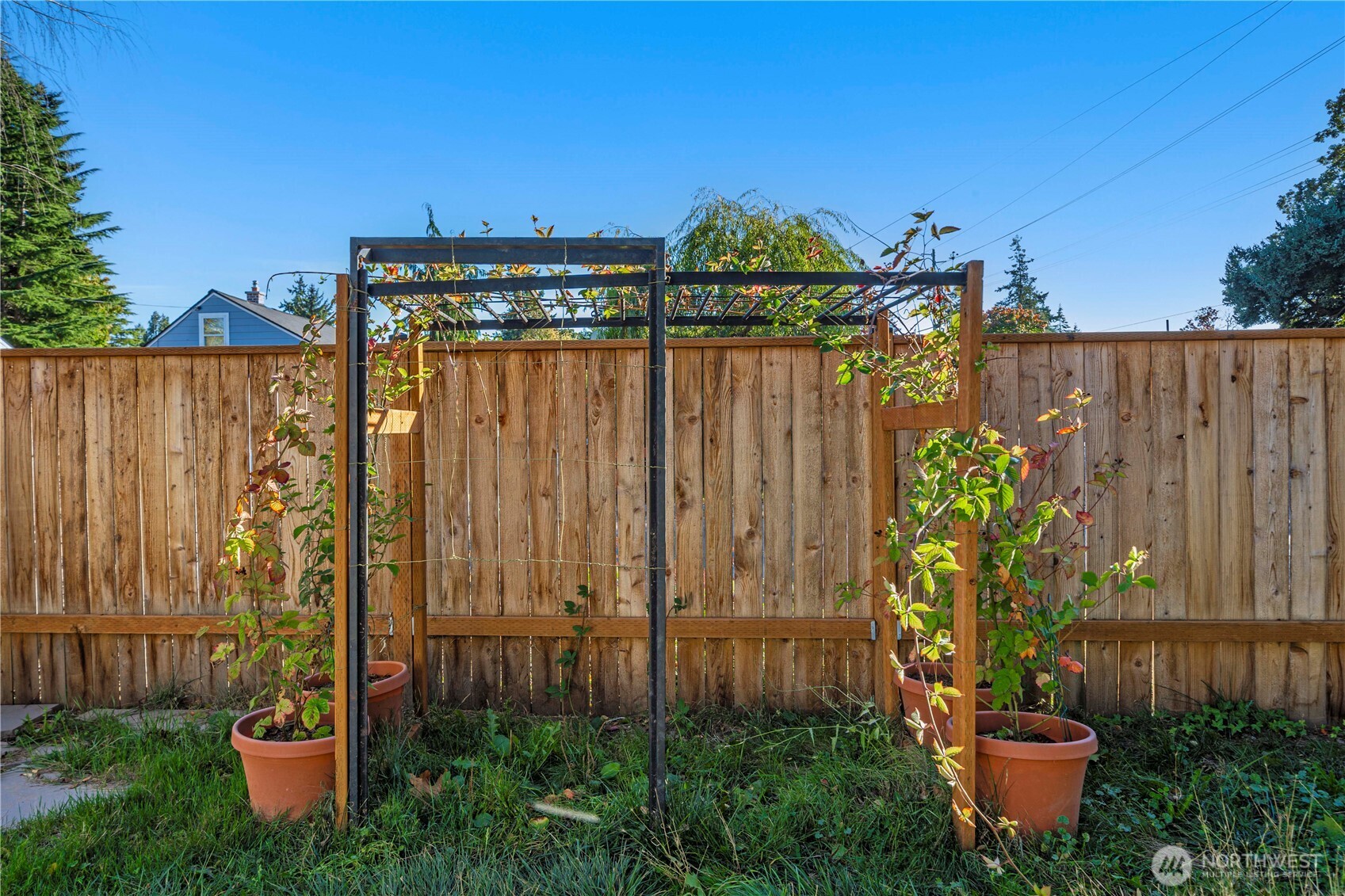 11815 C Street S, Tacoma, WA 98444