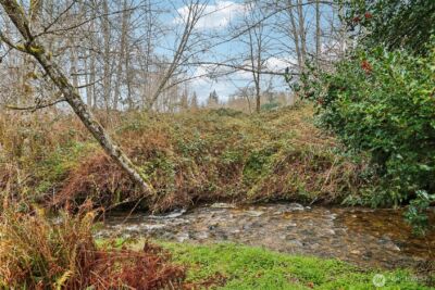 17419 100th Street SE, Snohomish, WA 98290 - Photo 35