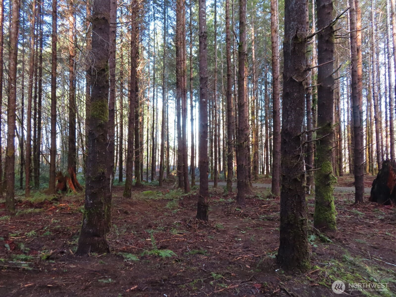 2431 N River Road , Cosmopolis, WA 98537