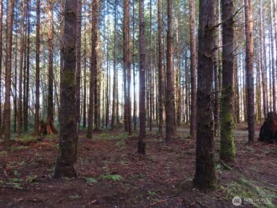 2431 N River Road , Cosmopolis, WA 98537 - Photo 11