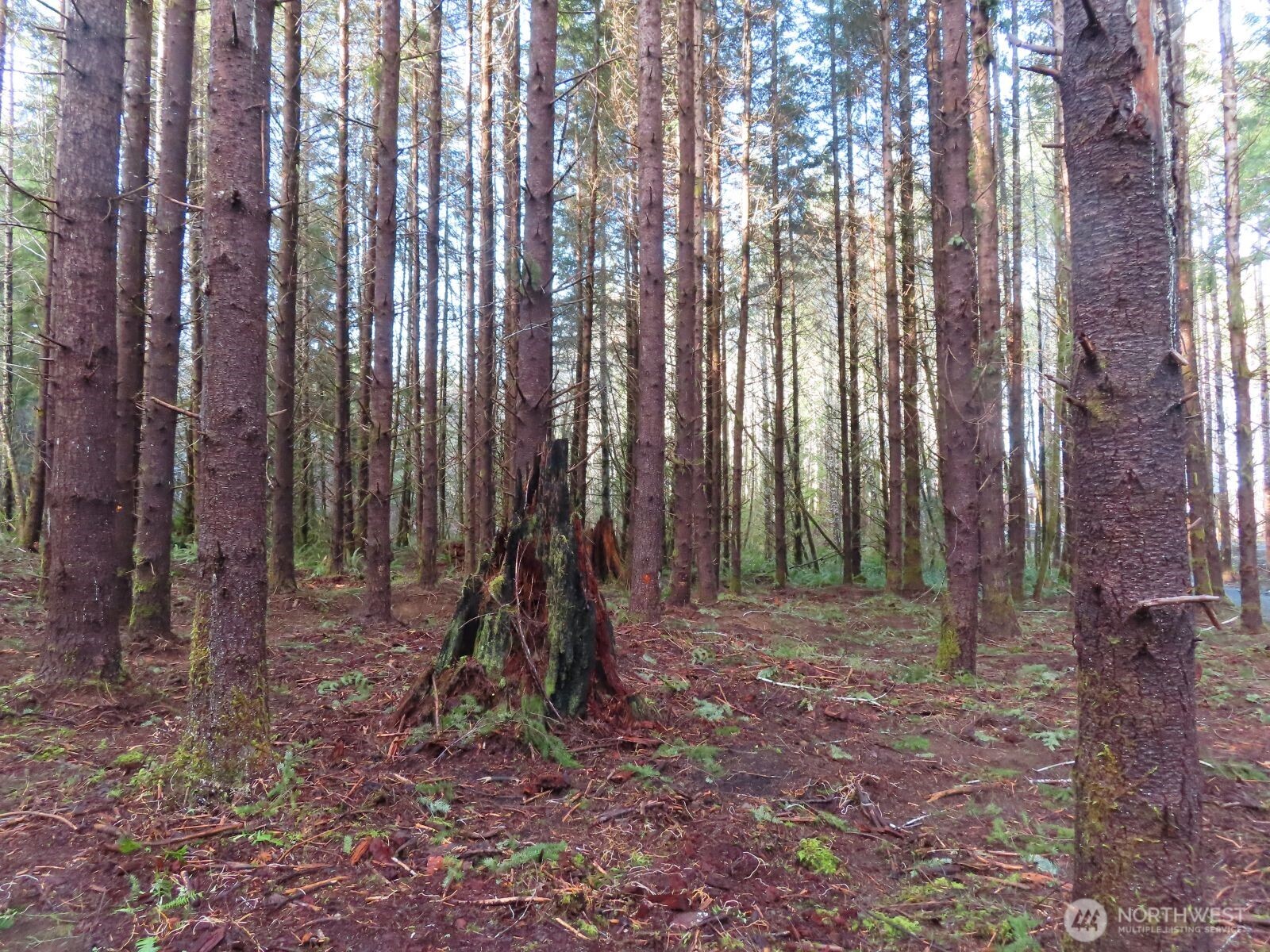 2431 N River Road , Cosmopolis, WA 98537