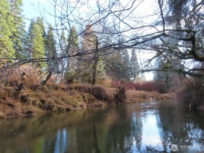 2431 N River Road , Cosmopolis, WA 98537 - Photo 17