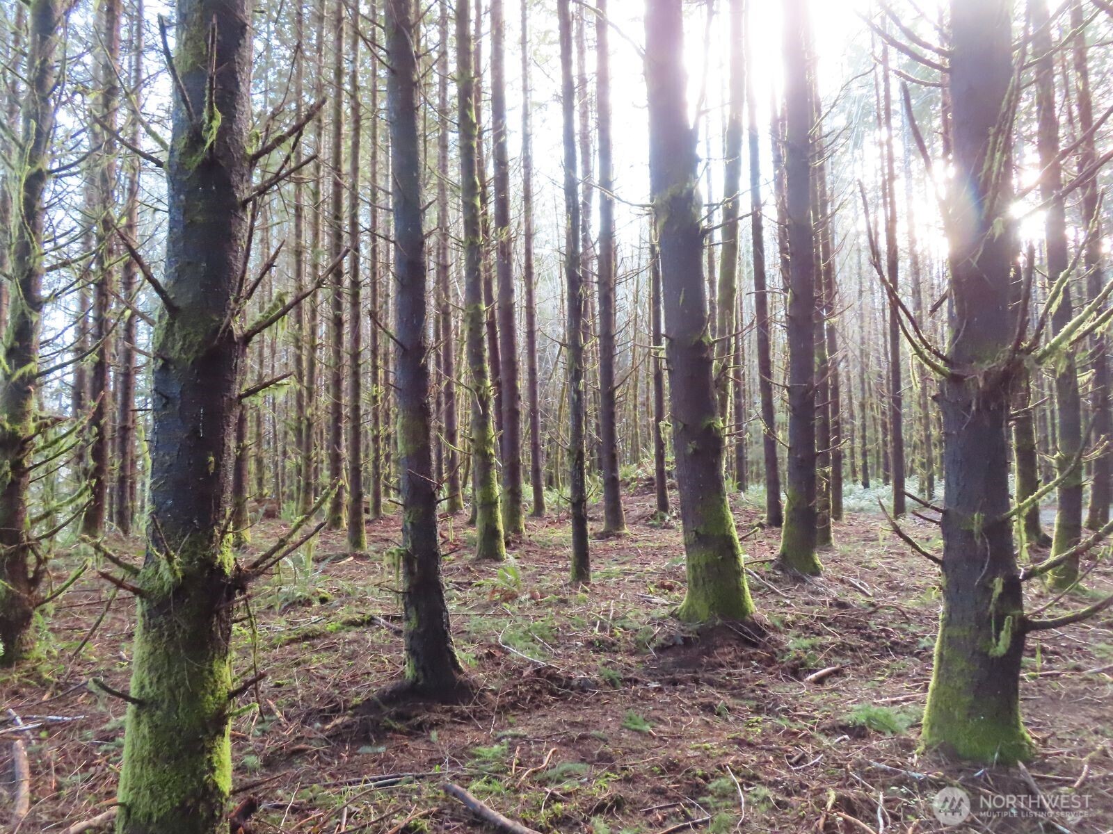 2431 N River Road , Cosmopolis, WA 98537