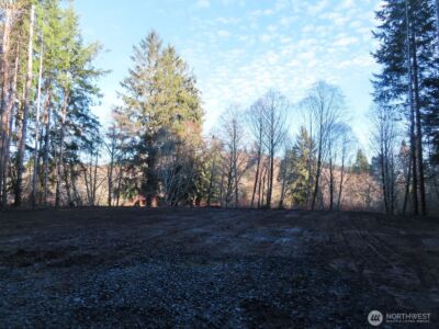 2431 N River Road , Cosmopolis, WA 98537 - Photo 19