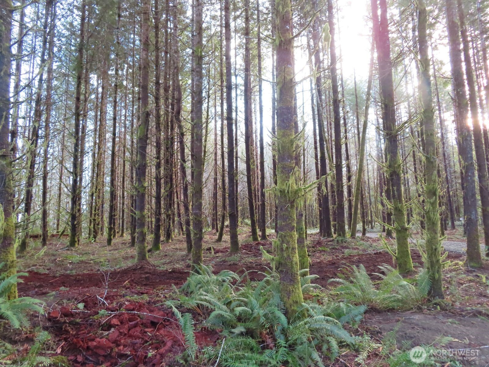 2431 N River Road , Cosmopolis, WA 98537