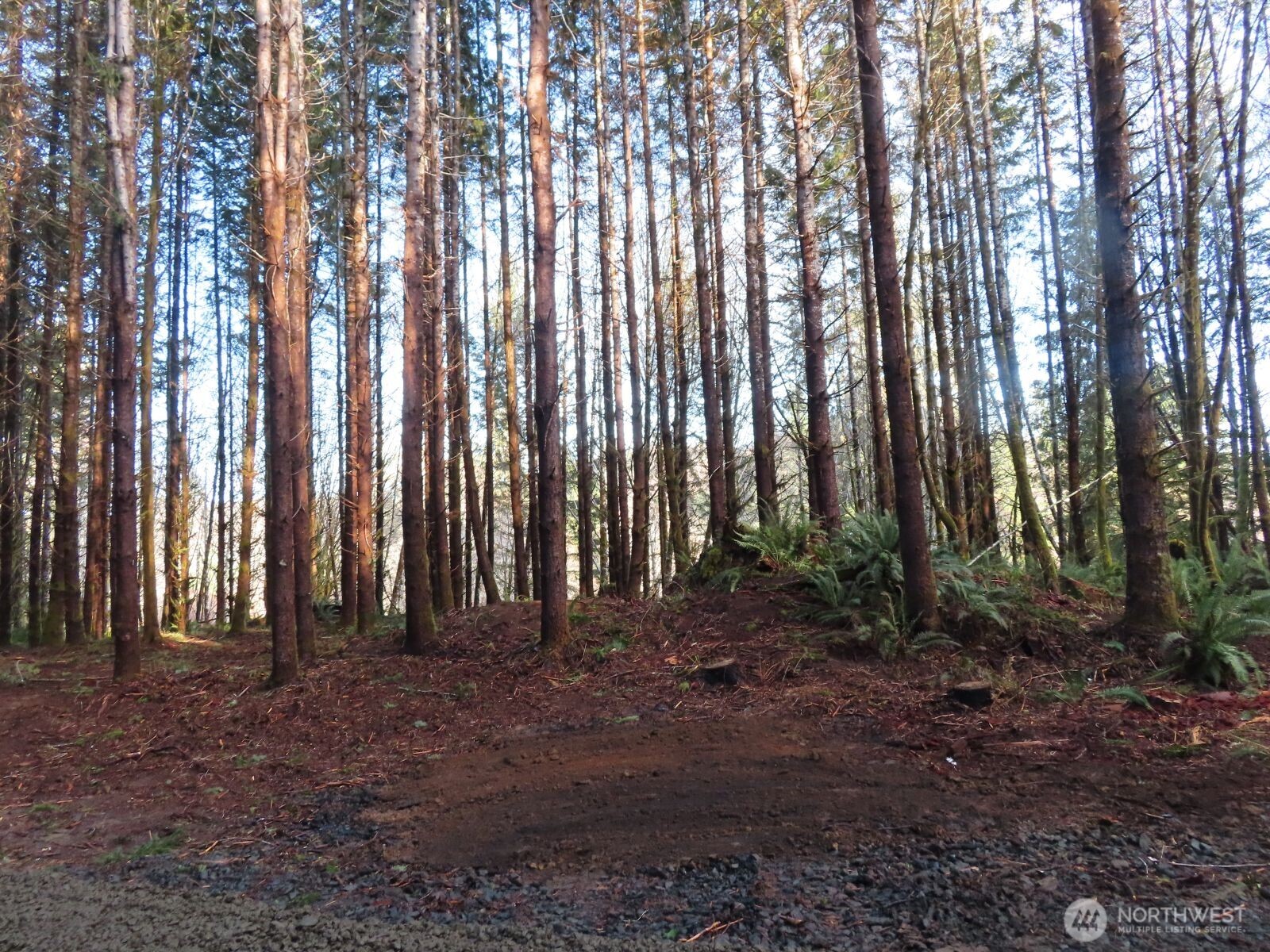 2431 N River Road , Cosmopolis, WA 98537