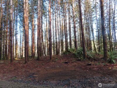 2431 N River Road , Cosmopolis, WA 98537 - Photo 22