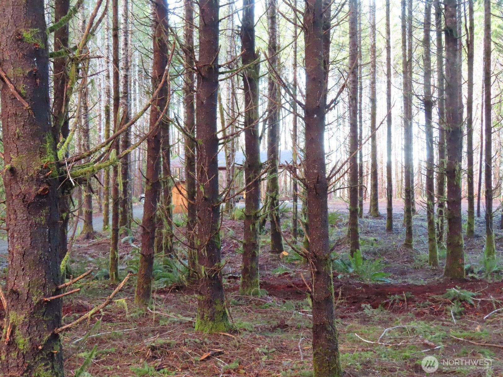 2431 N River Road , Cosmopolis, WA 98537