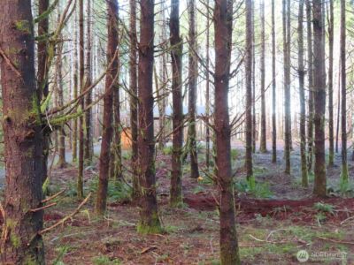 2431 N River Road , Cosmopolis, WA 98537 - Photo 23