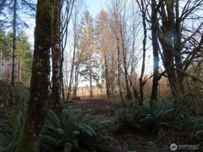 2431 N River Road , Cosmopolis, WA 98537 - Photo 26