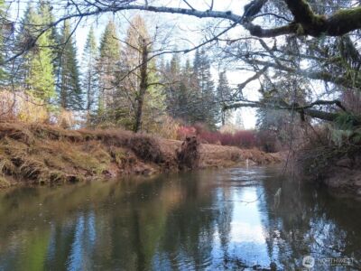 2431 N River Road , Cosmopolis, WA 98537 - Photo 27