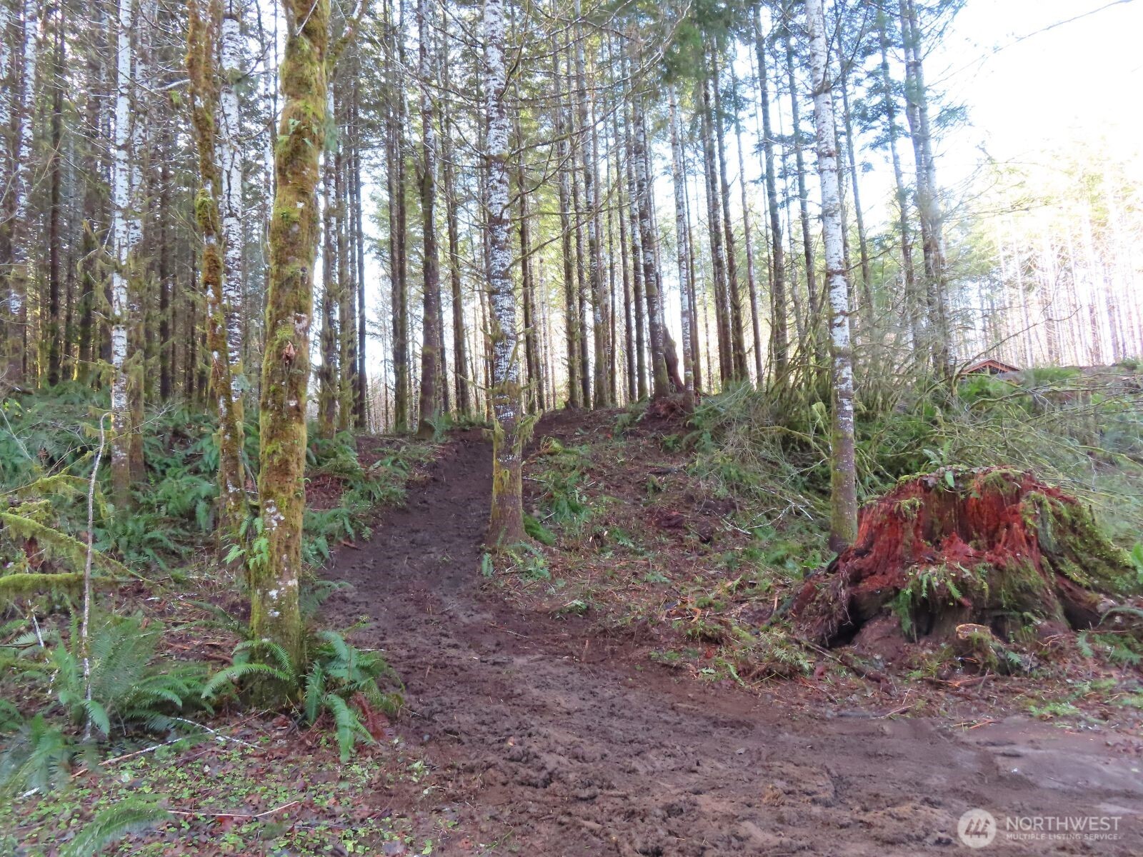 2431 N River Road , Cosmopolis, WA 98537