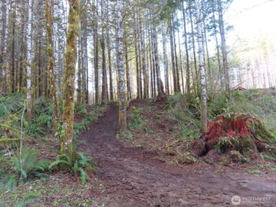 2431 N River Road , Cosmopolis, WA 98537 - Photo 28