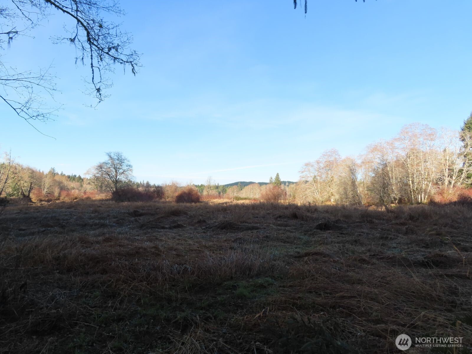 2431 N River Road , Cosmopolis, WA 98537