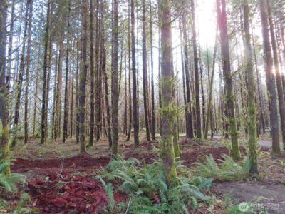 2431 N River Road , Cosmopolis, WA 98537 - Photo 3