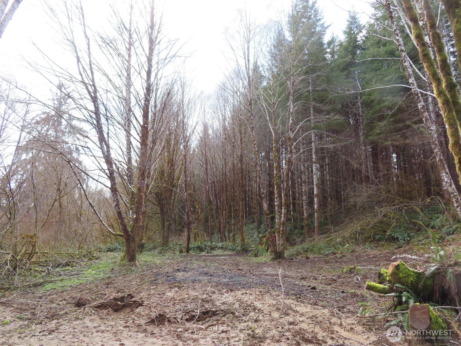 2431 N River Road , Cosmopolis, WA 98537