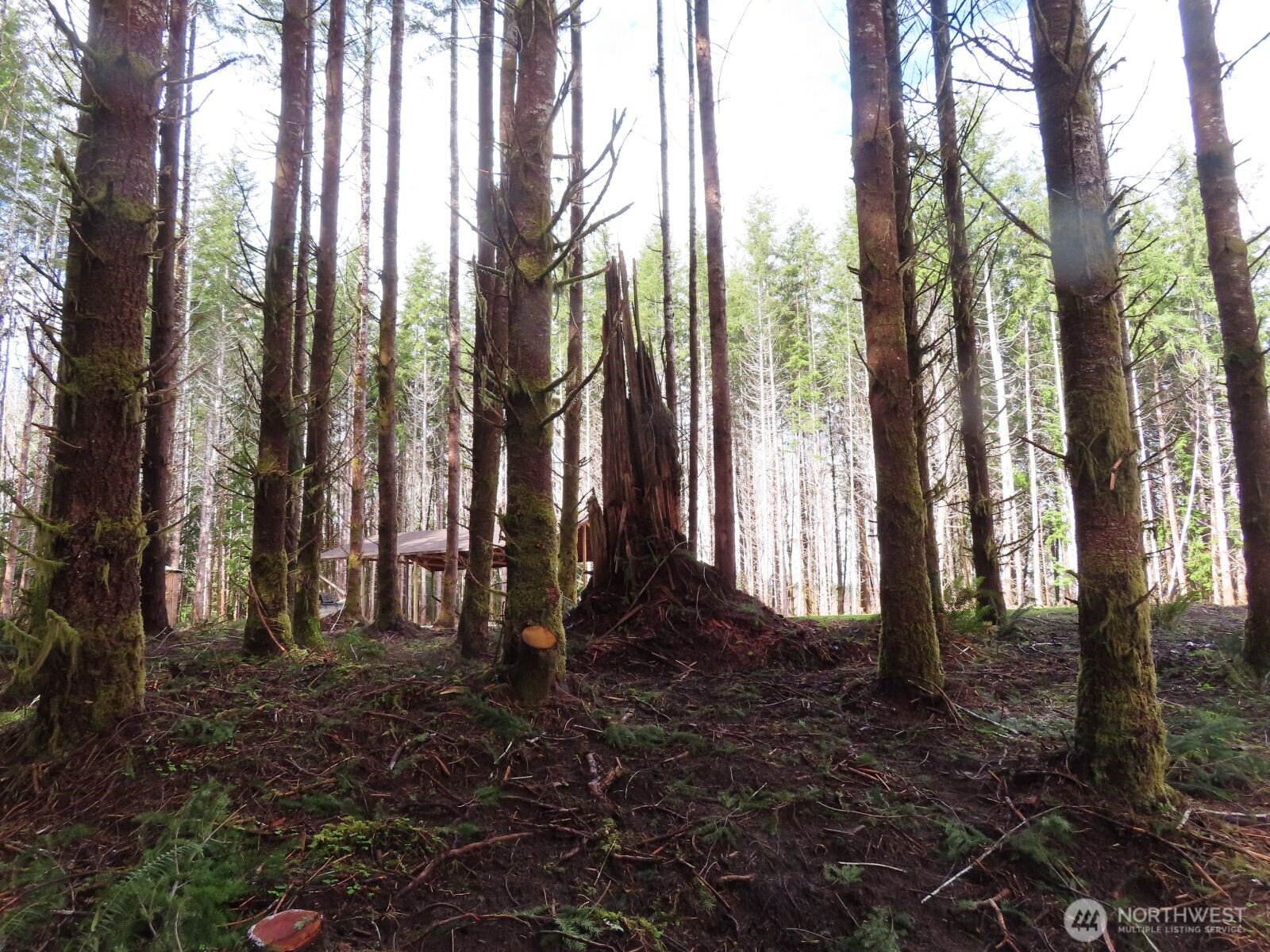 2431 N River Road , Cosmopolis, WA 98537