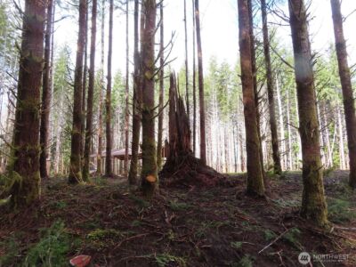 2431 N River Road , Cosmopolis, WA 98537 - Photo 34