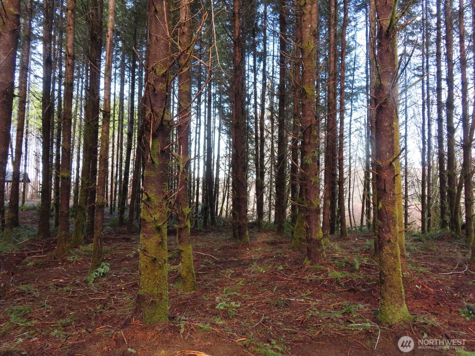 2431 N River Road , Cosmopolis, WA 98537