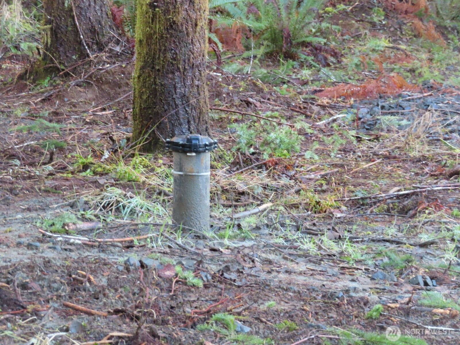 2431 N River Road , Cosmopolis, WA 98537