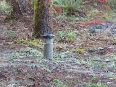 2431 N River Road , Cosmopolis, WA 98537 - Photo 8