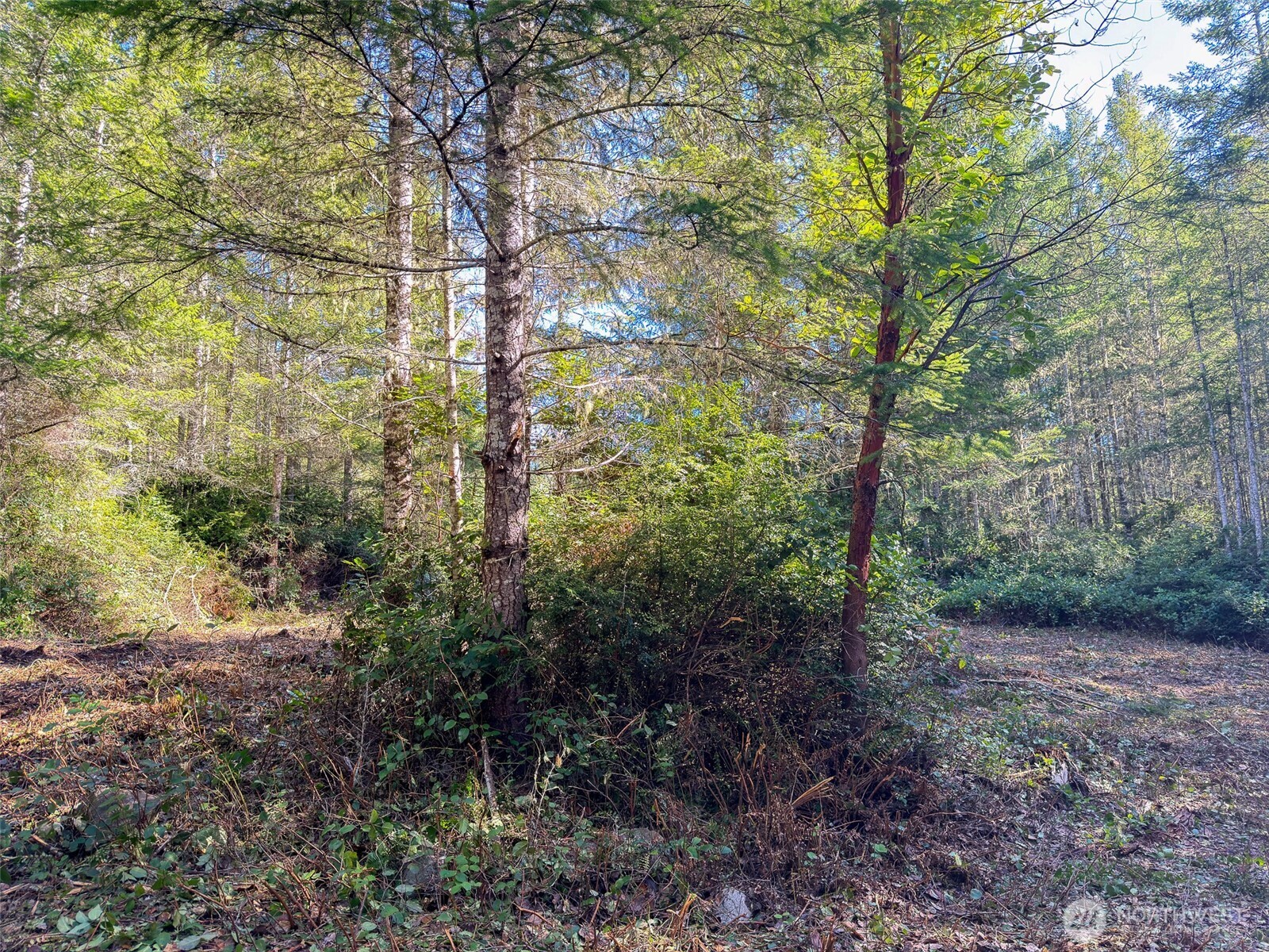 222 x Octopus Court , Quilcene, WA 98376