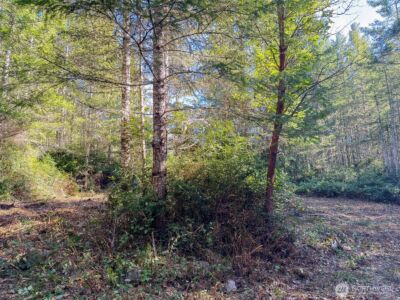 222 x Octopus Court , Quilcene, WA 98376 - Photo 11