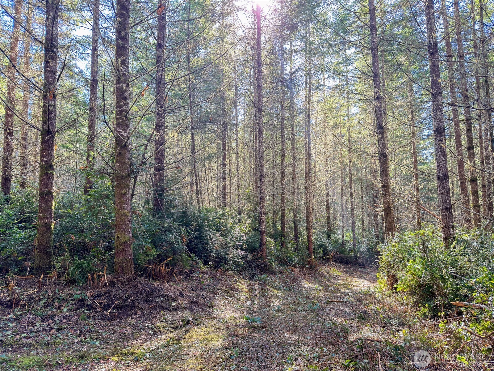 222 x Octopus Court , Quilcene, WA 98376